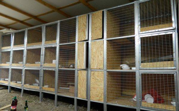 Comment faire de la ventilation dans une grange pour animaux: exigences et nuances de l'organisation de la ventilation