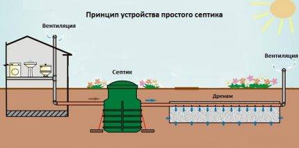 Fosse septique "Cèdre": aménagement intérieur, comment ça marche et vaut-il la peine d'être acheté?
