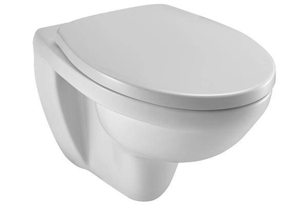 Comment choisir une installation de toilettes : un aperçu des conceptions et des conseils avant d'acheter