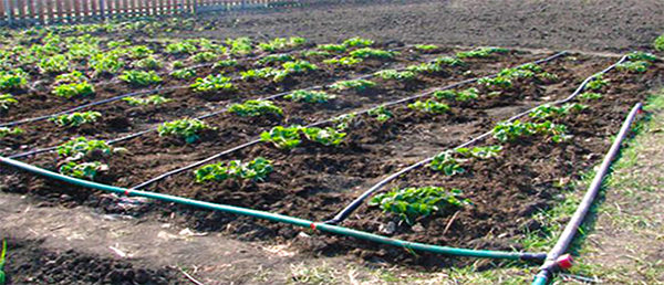 5 inconvénients graves des tuyaux en plastique pour l'approvisionnement en eau et le chauffage