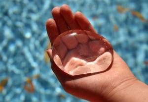 Quel devrait être le liquide de refroidissement pour les systèmes de chauffage: paramètres de fluide pour les radiateurs