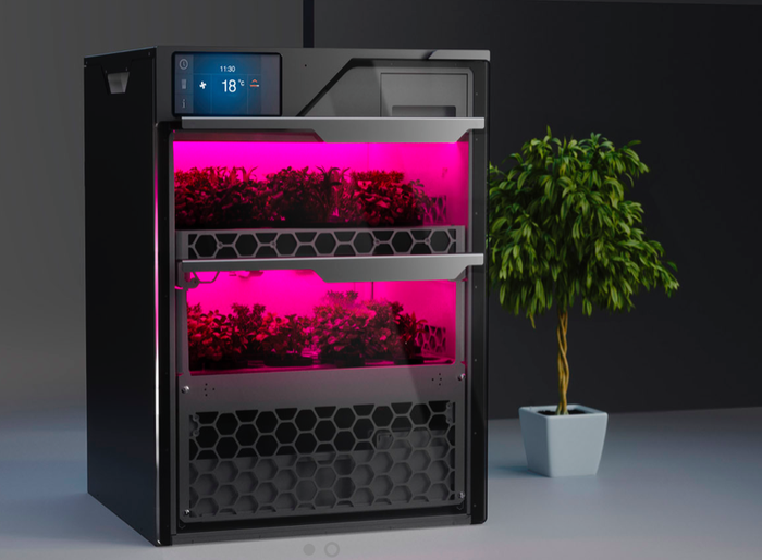 8 choses toxiques que vous pourriez avoir chez vous