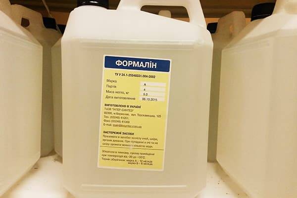 Quel est le meilleur remède contre les fosses d'aisance : un aperçu des bactéries vivantes, des antiseptiques et de la chimie