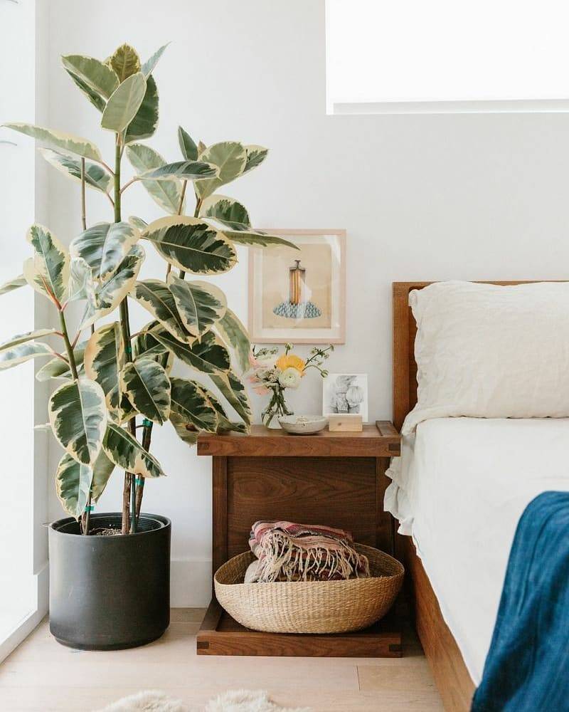 Quelles choses et quels objets ne peuvent pas être conservés dans la maison selon les signes et les croyances populaires