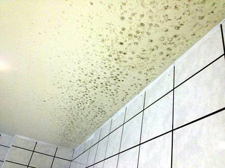 Organisation de la ventilation de la piscine : les meilleures méthodes pour organiser le renouvellement d'air