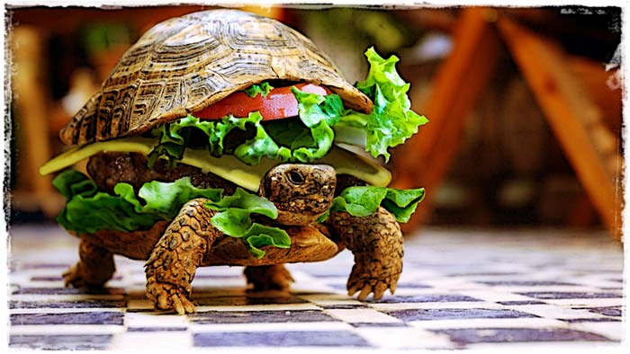 Regards d'égout en polymère: types et caractéristiques + caractéristiques d'utilisation