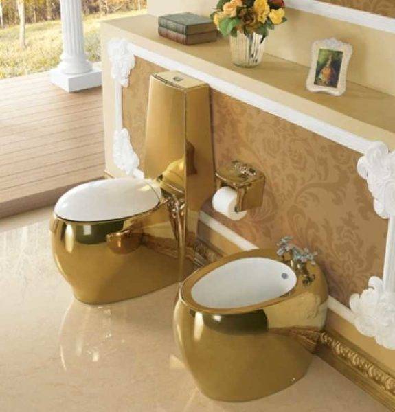 Types de cuvettes de toilettes par caractéristiques techniques et design