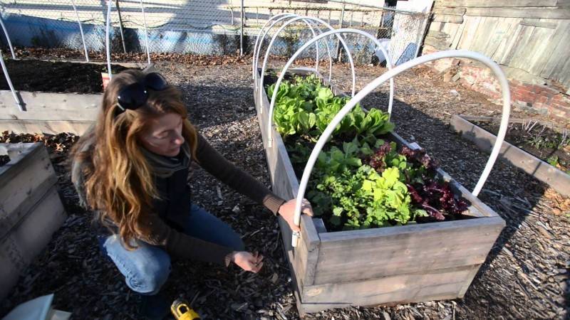 Artisanat de bricolage à partir de tuyaux en propylène: options maison pour la maison