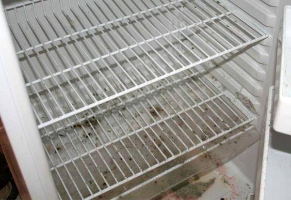 Comment se débarrasser une fois pour toutes des mauvaises odeurs dans le réfrigérateur