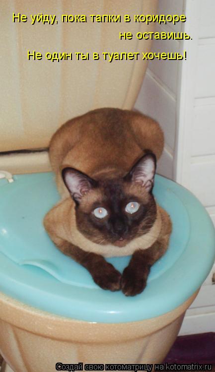 Comment voulez-vous aller aux toilettes en grand ? conseils utiles