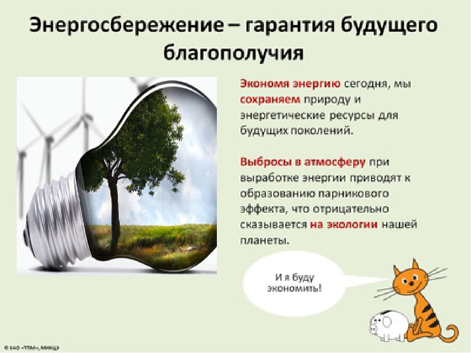 Comment apprendre aux enfants à prendre soin de l'environnement ? | maternité - grossesse, accouchement, nutrition, éducation