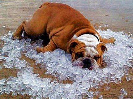 Comment trouver de l'eau pour un puits - un aperçu des 5 méthodes de recherche + méthode de radiesthésie en détail