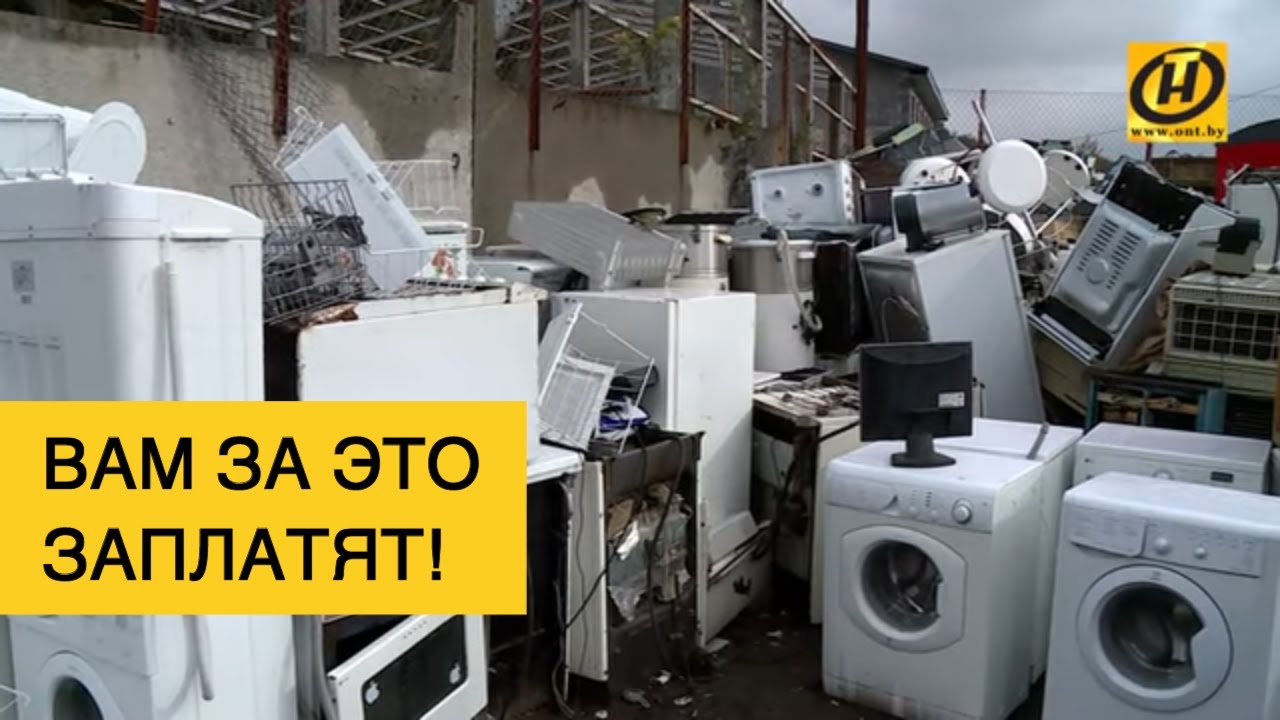 Où prendre le réfrigérateur pour le recycler contre de l'argent, d'autres bonus et gratuitement : 4 options