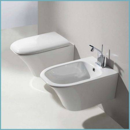 Accessoire de bidet pour les toilettes: un aperçu des types d'accessoires de bidet et des méthodes d'installation