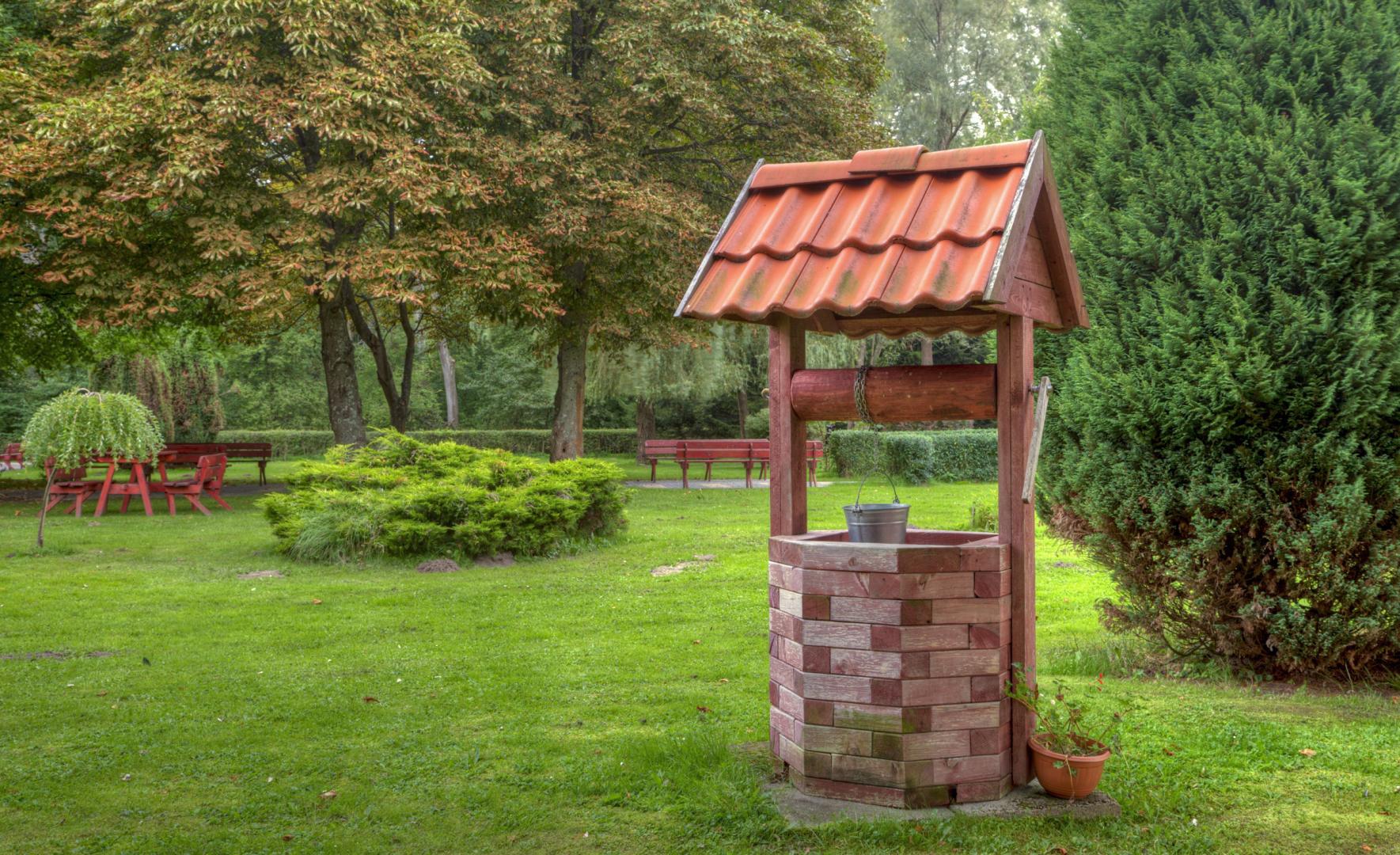 Puits décoratifs dans le pays et leur décoration: photos avec des idées de design et de décoration, les bases de la construction