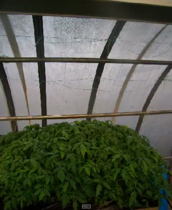 Radiateurs infrarouges pour serres : quel radiateur infrarouge choisir, avantages et inconvénients, avis