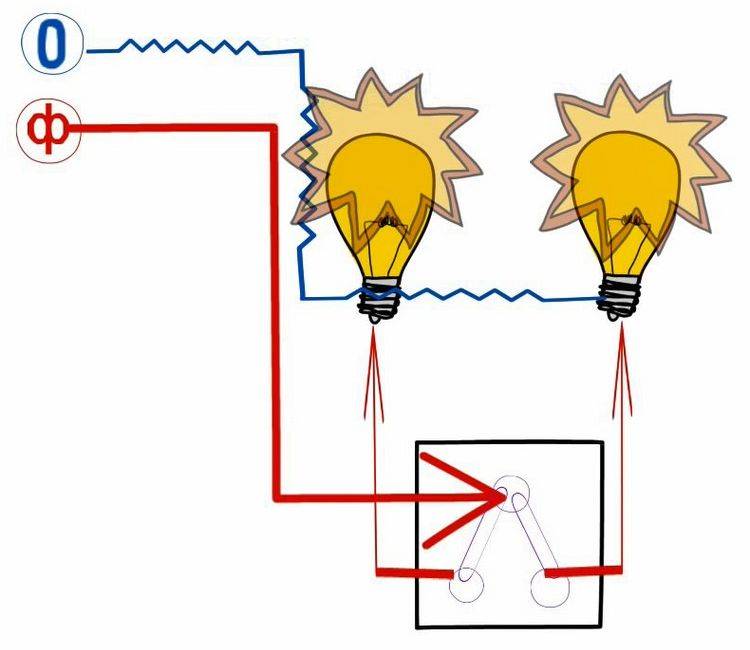 Schéma de câblage détaillé pour un interrupteur à deux gangs