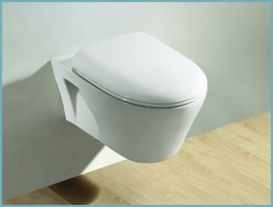 Comment choisir une installation de toilette + guide d'auto-installation