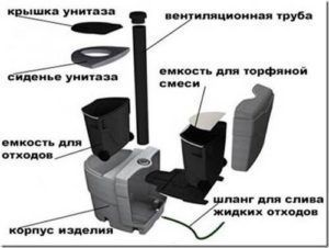 Comment nettoyer un placard sec: caractéristiques du nettoyage des types de tourbe et de liquide des placards secs
