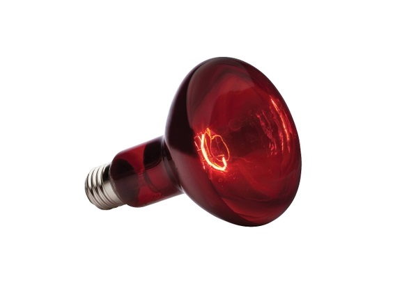 L'éclairage infrarouge et les avantages de son utilisation la nuit | Maison intelligente technologique du 21e siècle