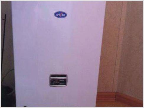 Avis sur les geysers Astra