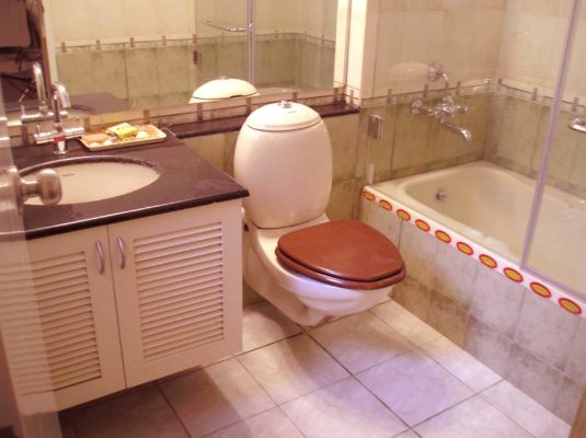 Lavabo dans la salle de bain: types de lavabos + nuances de choix du meilleur design