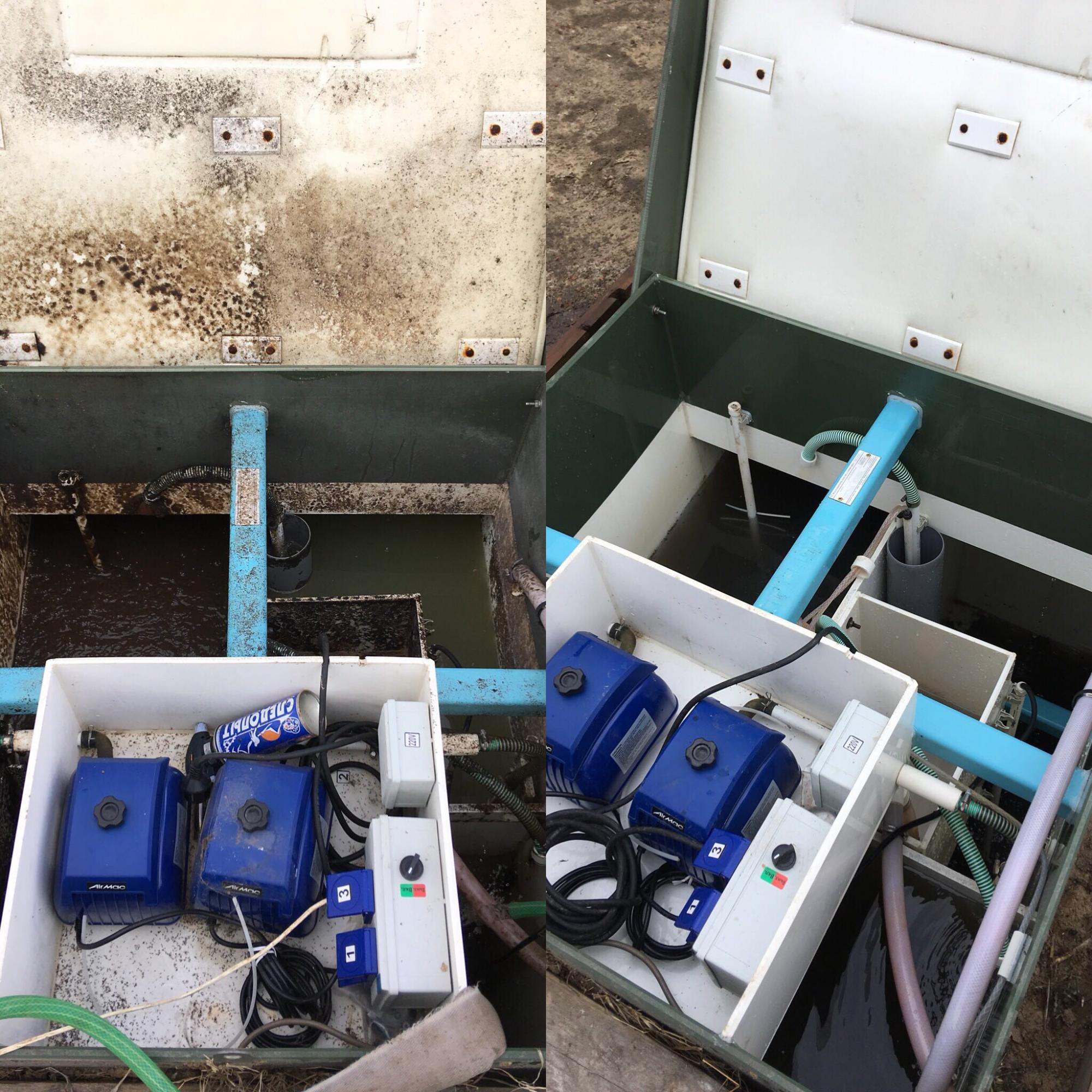 Vidéo de service de bricolage Topas - tout sur les fosses septiques