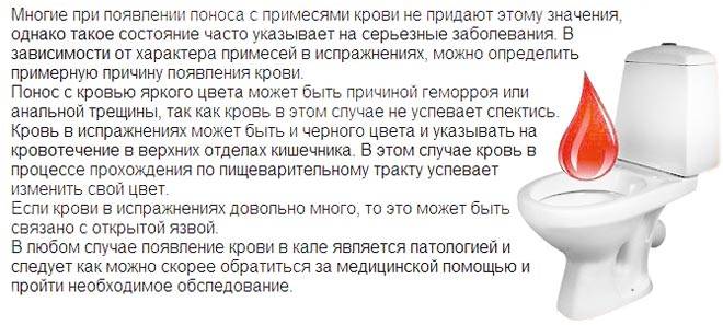 Pourquoi se lever la nuit pour aller aux toilettes est dangereux pour la santé - l'avis des scientifiques