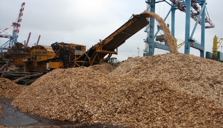 Sciure de bois pressée pour le chauffage : avantages et inconvénients + comparaison avec les combustibles solides traditionnels