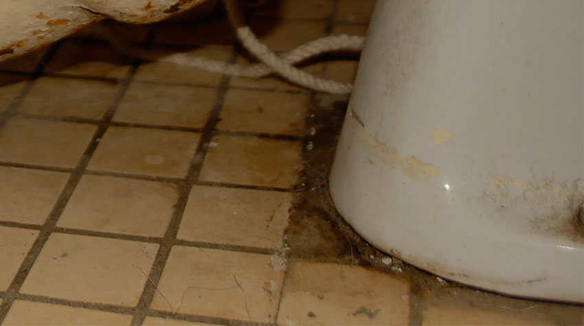 Comment installer une toilette au sol