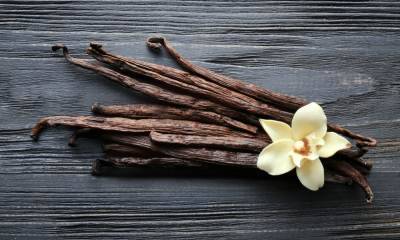 Que faire si les toilettes sont bouchées: un aperçu des méthodes