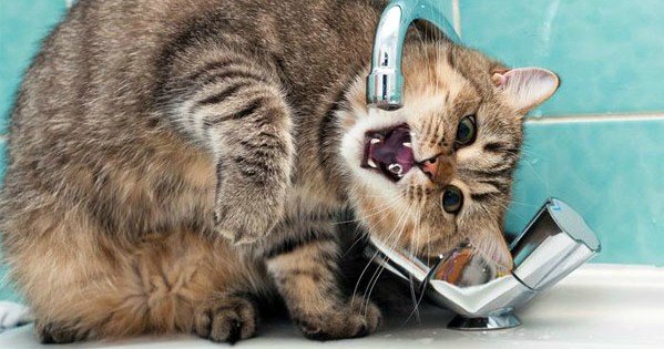 Options d'économie d'énergie : comment augmenter l'efficacité énergétique de votre maison