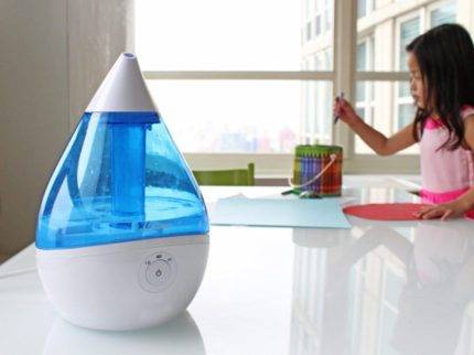 Avez-vous besoin d'un humidificateur dans votre appartement ? Des arguments solides pour et contre