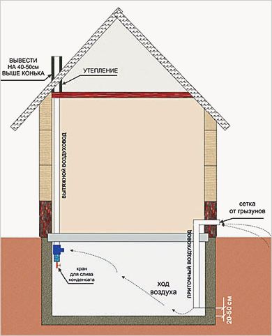 Ventilation dans la cave: schémas pour la bonne disposition du système de ventilation dans les locaux techniques