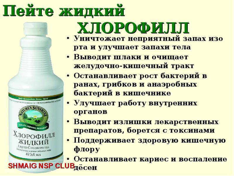 Comment se débarrasser d'une odeur désagréable dans la ventilation : causes et meilleures solutions