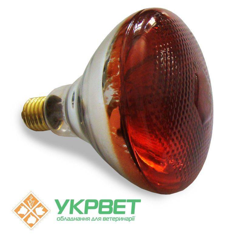 Radiateurs infrarouges : comparaison des radiateurs infrarouges thermiques, leurs avantages et inconvénients et les avis des utilisateurs