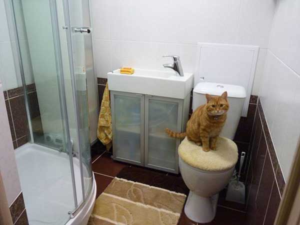 Comment assembler un receveur de douche: caractéristiques d'installation des options typiques