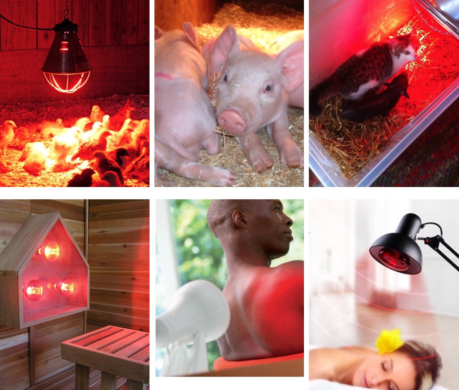 Dommage des radiateurs infrarouges : existe-t-il une menace pour les appareils infrarouges ?