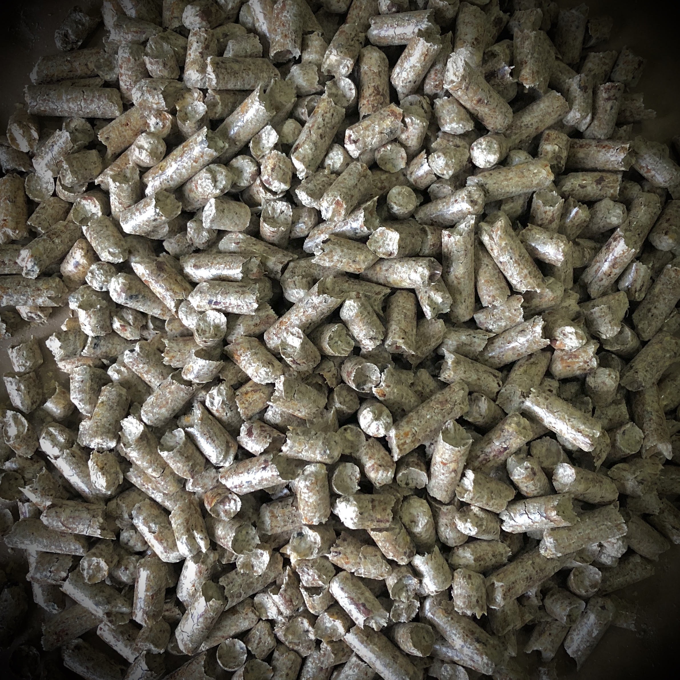 pastilles de combustible