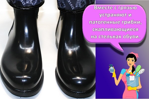 Comment tester un lave-vaisselle avant de l'acheter : recommandations pour les acheteurs de lave-vaisselle