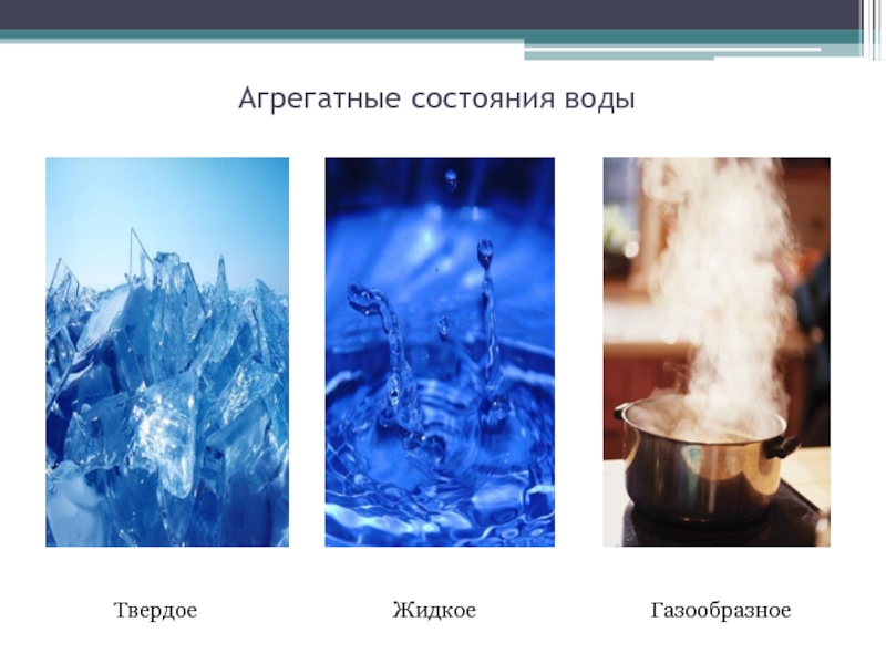 Comment obtenir du biogaz à partir de fumier : un aperçu des principes de base et de la conception d'une usine de production
