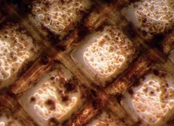 Comment fonctionne l'osmose inverse