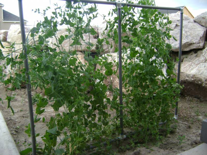 Artisanat de bricolage à partir de tuyaux en propylène: options maison pour la maison