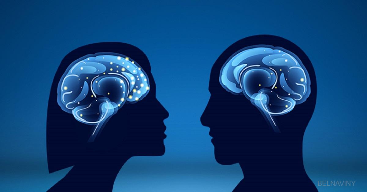 Notre cerveau se meurt : ces 10 conseils garantissent sa longue durée de vie