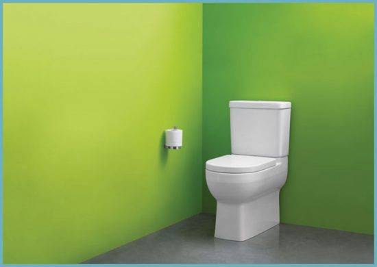 Types de cuvettes de toilettes par caractéristiques techniques et design