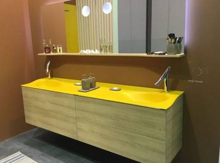 Double vasque : un aperçu des sanitaires insolites + un exemple de travaux d'installation