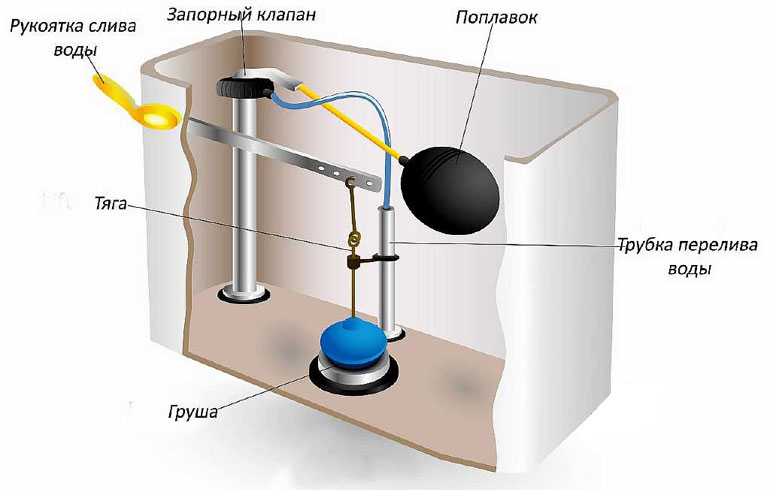 Dimensions standard des toilettes : dimensions et poids typiques des différents types de toilettes