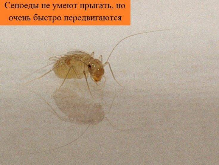 7 endroits les plus poussiéreux de la maison qui doivent être nettoyés en premier