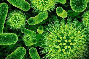 Vue d'ensemble de la gamme de produits Saneks pour les puisards: avis et mode d'emploi