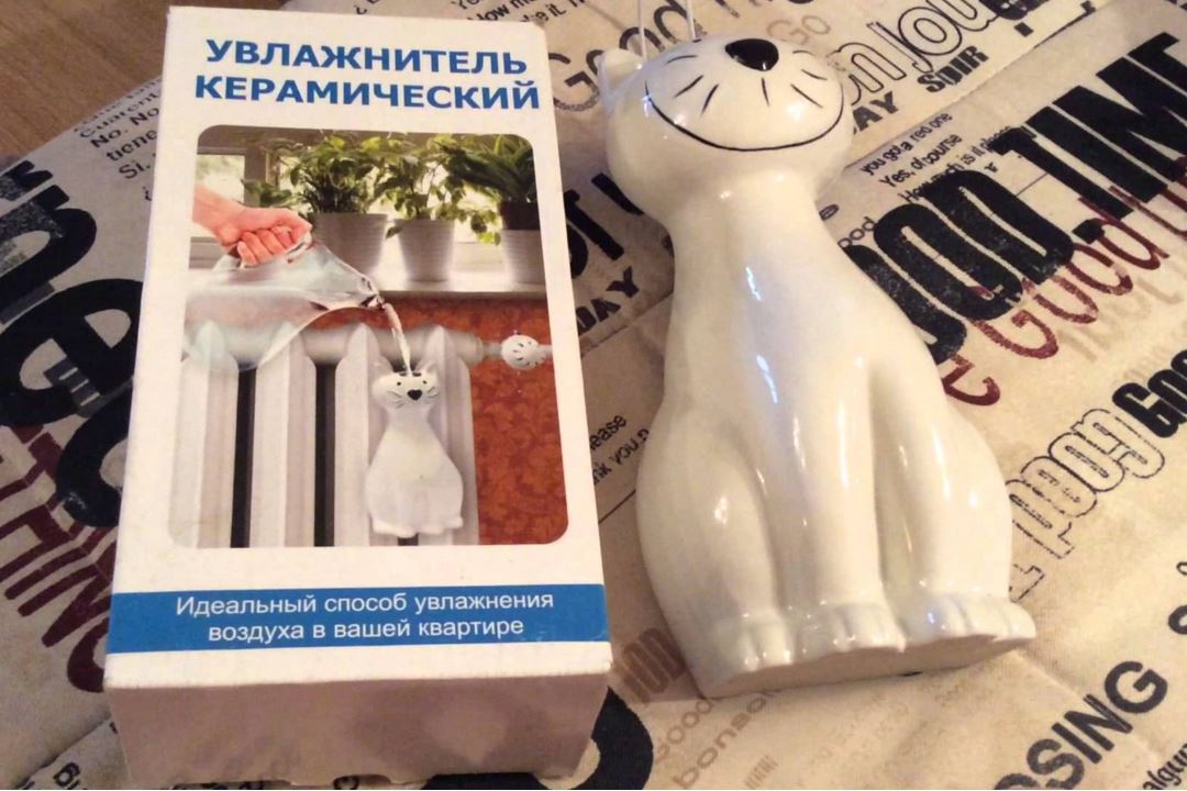 Pourquoi avez-vous besoin d'un humidificateur dans l'appartement : avantages et inconvénients